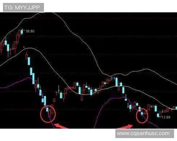 武汉攀岩队快攻战术解析与实战应用的深度分析