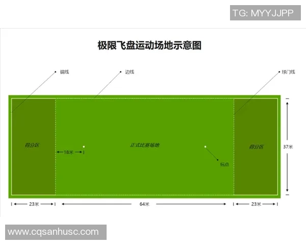 聚焦飞盘运动心理素质探讨：北京飞盘队的心态与表现分析